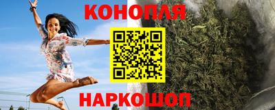 Альфа ПВП Малгобек